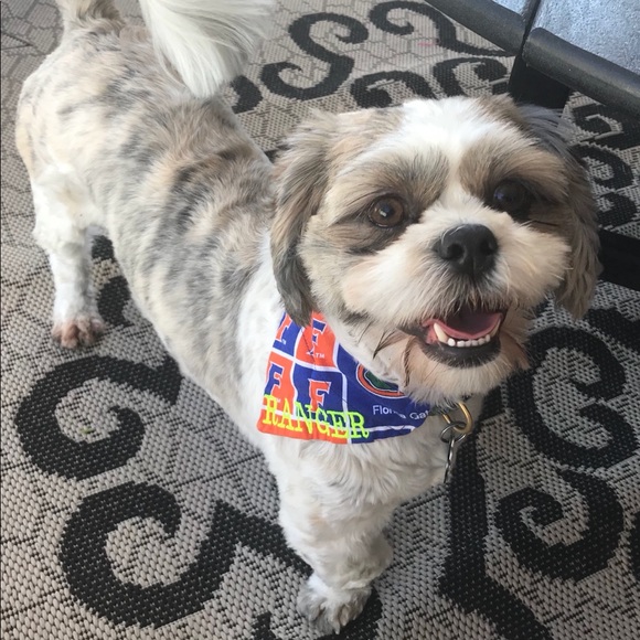 Meet your Posher, Lavandula - Picture 6 of 10